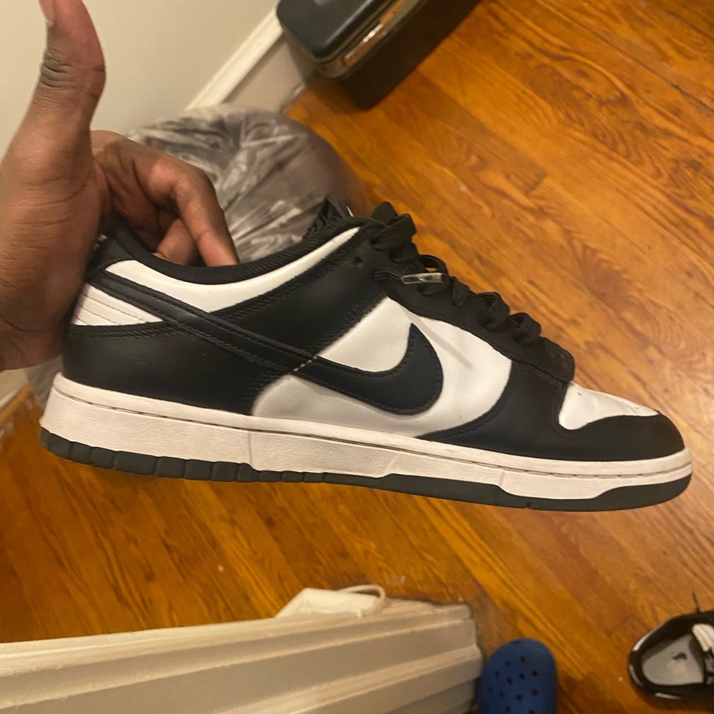 Panda Dunk - image 4